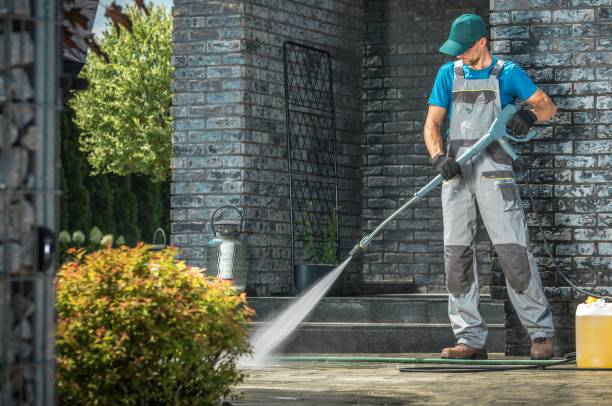 Best House Exterior Washing  in Fox Lake, IL